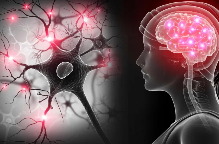 10 Common Symptoms of Neurological Disorders: Recognizing Early Warning Signs