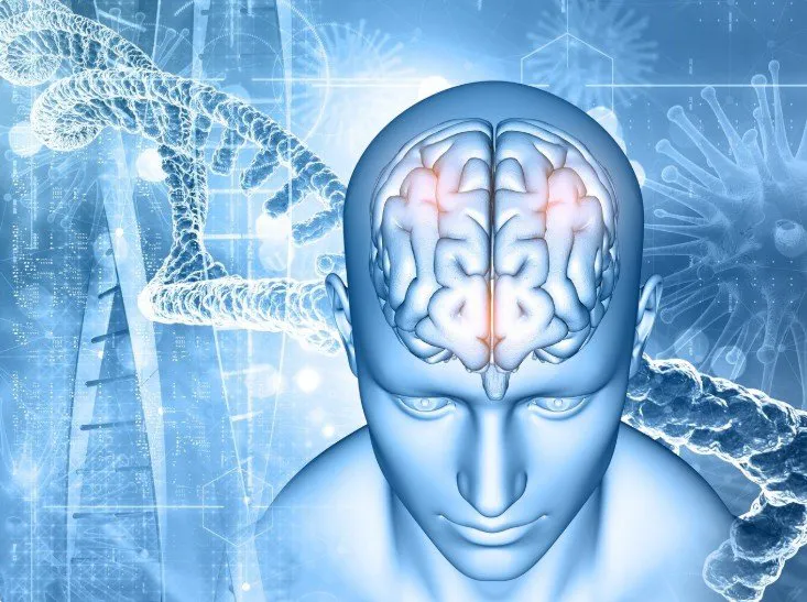 Your Guide to Choosing the Right Neurologist in Delhi NCR: Expert Tips from Dr. Rohit Gupta